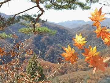 上杭快速运动减肥基地,上杭快速运动减肥基地地址